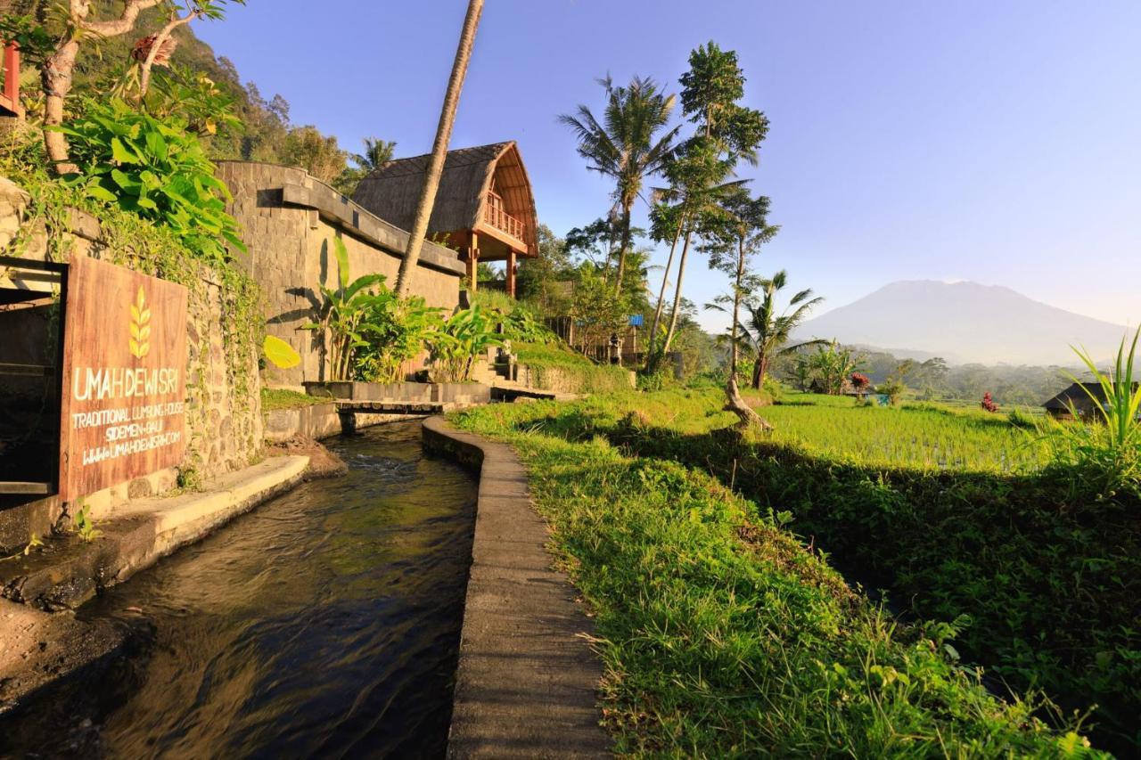 Like Living In A Romantic Balinese Painting Sidemen  Extérieur photo